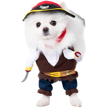 Halloween Dog Costumes Funny Pumpkin Lantern Transformation Outfit Halloween Dog Cat Two Legged Pet Cute Pumpkin Hat Dog Jacket