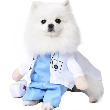 Halloween Dog Costumes Funny Pumpkin Lantern Transformation Outfit Halloween Dog Cat Two Legged Pet Cute Pumpkin Hat Dog Jacket