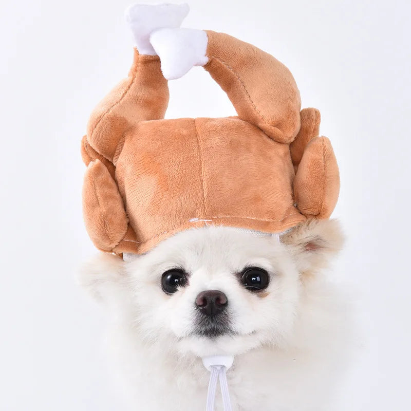 Halloween Dog Costumes Funny Pumpkin Lantern Transformation Outfit Halloween Dog Cat Two Legged Pet Cute Pumpkin Hat Dog Jacket