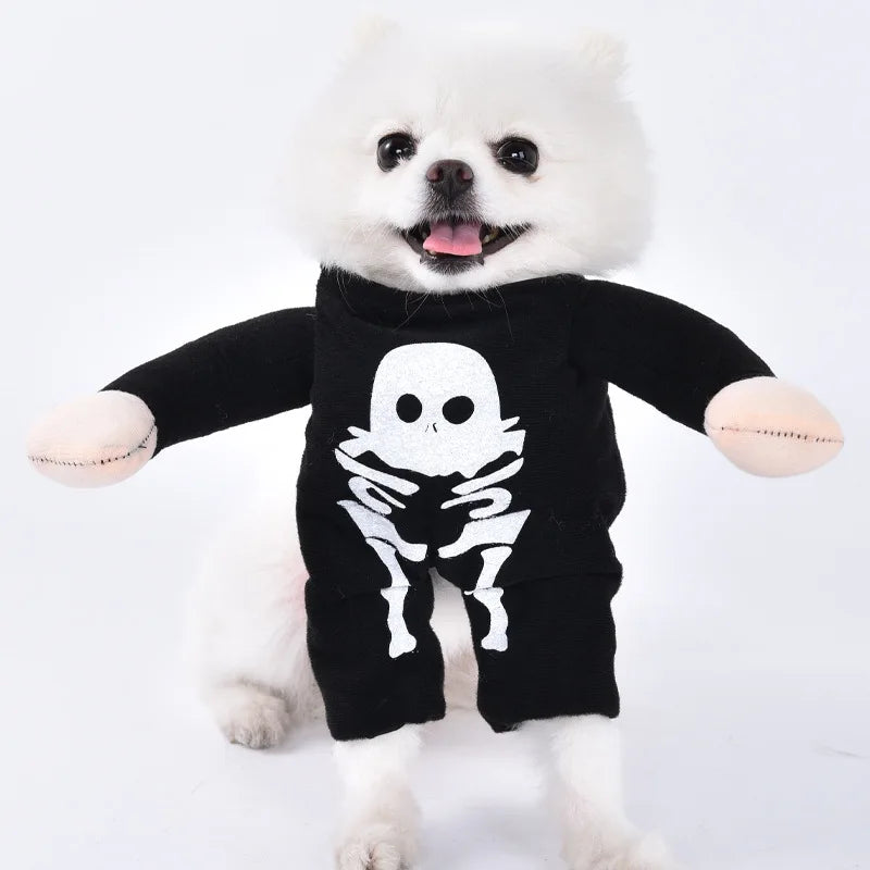 Halloween Dog Costumes Funny Pumpkin Lantern Transformation Outfit Halloween Dog Cat Two Legged Pet Cute Pumpkin Hat Dog Jacket