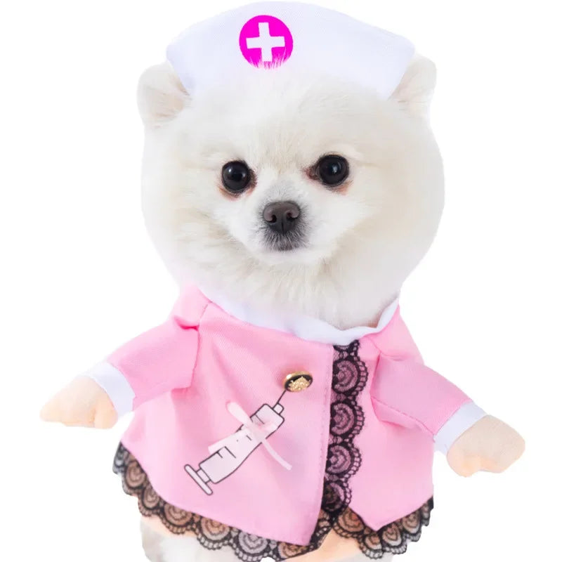 Halloween Dog Costumes Funny Pumpkin Lantern Transformation Outfit Halloween Dog Cat Two Legged Pet Cute Pumpkin Hat Dog Jacket