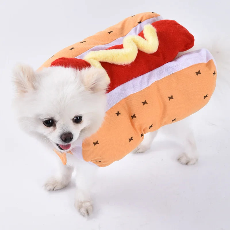 Halloween Dog Costumes Funny Pumpkin Lantern Transformation Outfit Halloween Dog Cat Two Legged Pet Cute Pumpkin Hat Dog Jacket