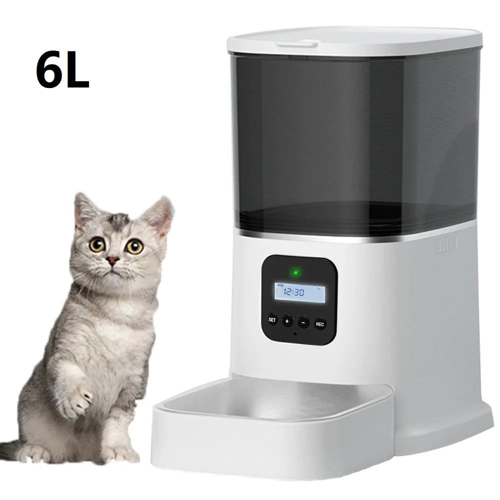 Iseebiz 3L Automatic Pet Feeder with Voice Record Pets Food Bowl for Medium Small Dog Cat LCD Screen Dispensers 4 Times One Day