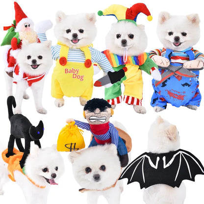 Halloween Dog Costumes Funny Pumpkin Lantern Transformation Outfit Halloween Dog Cat Two Legged Pet Cute Pumpkin Hat Dog Jacket
