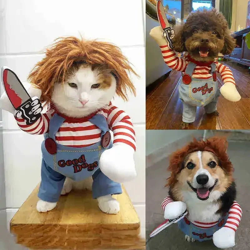 Halloween Dog Costumes Funny Pumpkin Lantern Transformation Outfit Halloween Dog Cat Two Legged Pet Cute Pumpkin Hat Dog Jacket