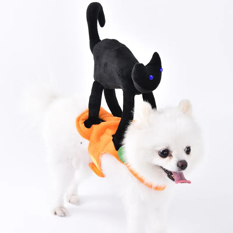 Halloween Dog Costumes Funny Pumpkin Lantern Transformation Outfit Halloween Dog Cat Two Legged Pet Cute Pumpkin Hat Dog Jacket