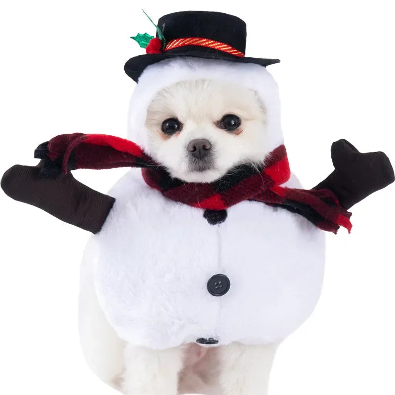 Halloween Dog Costumes Funny Pumpkin Lantern Transformation Outfit Halloween Dog Cat Two Legged Pet Cute Pumpkin Hat Dog Jacket