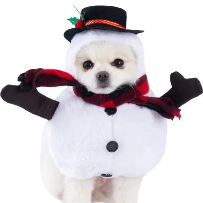 Halloween Dog Costumes Funny Pumpkin Lantern Transformation Outfit Halloween Dog Cat Two Legged Pet Cute Pumpkin Hat Dog Jacket